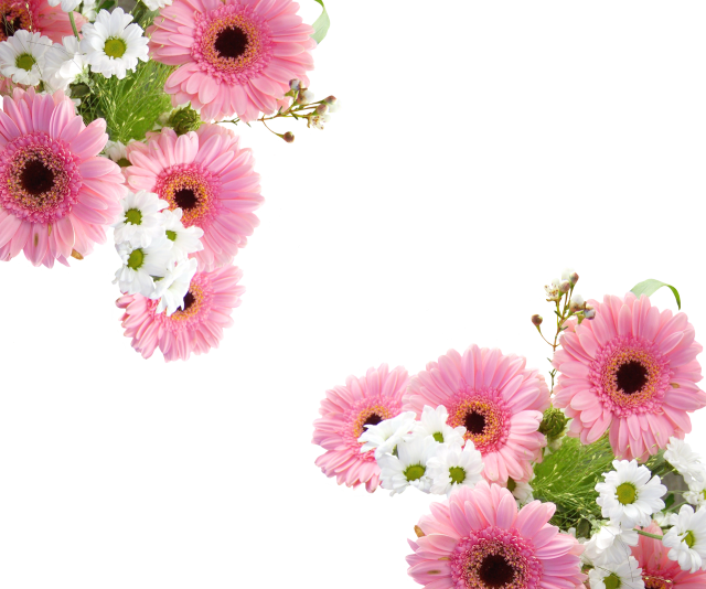 Květinový rámeček
Keywords: obrázky květin