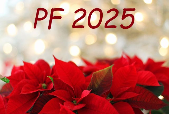 PF 2025 - novoroční přání vánoční hvězda
PF 2025 novoroční přání vánoční obrázky - zdarma ke stažení a k vytisknutí na výšku jako firemní novoročenku ve formátu 17 x 11,5 cm nebo poslat jako on-line elektonickou pohlednici e-card. Rozlišení 1920px.
Keywords: PF 2025 zdarma,novoročenky