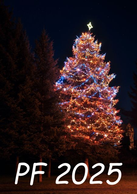 PF 2025 - novoroční přání vánoční strom
PF 2025 novoroční přání vánoční obrázky - zdarma ke stažení a k vytisknutí na výšku jako firemní novoročenku ve formátu 17 x 11,5 cm nebo poslat jako on-line elektonickou pohlednici e-card. Rozlišení 1920px.
Keywords: PF 2025 zdarma,novoročenky