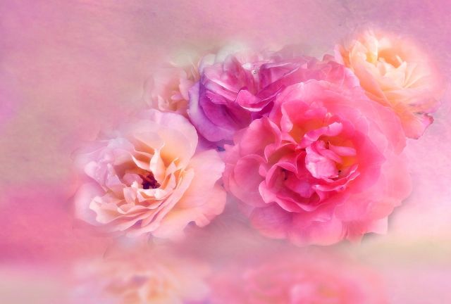 Romantické růže
Přání bez textu zdarma, k vytištění nebo jako poslat jako elektronickou pohlednici. Rozměry 17 x 11,5 cm pro obálku B6.
Keywords: obrázky květin přání