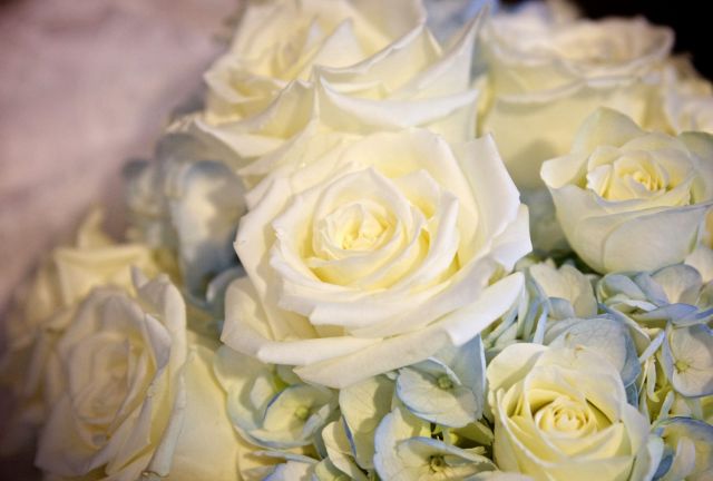 Bílé růže
Přání bez textu zdarma, k vytištění nebo jako poslat jako elektronickou pohlednici. Rozměry 17 x 11,5 cm pro obálku B6.
Keywords: obrázky květin přání