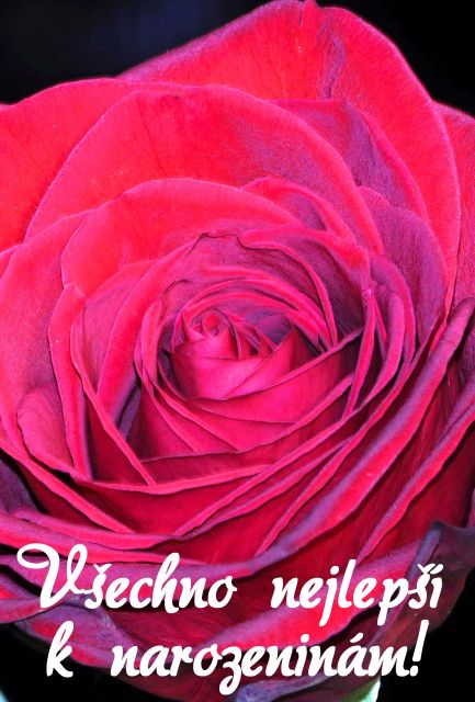 Přání k narozeninám rudá růže
Růže - přání a blahopřání k narozeninám foto květiny s textem v tiskové kvalitě ke stažení zdarma. Rozměry 17 x 11,5 cm pro obálku B6.
Keywords: přání k narozeninám,blahopřání k narozeninám