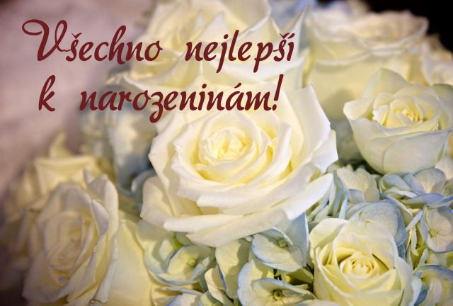 Přání k narozeninám růže
Kytice bílých růží - přání a blahopřání k narozeninám obrázky květin s textem v tiskové kvalitě ke stažení zdarma. Rozměry 17 x 11,5 cm pro obálku B6.
Keywords: přání k narozeninám,přání k narozeninám obrázky