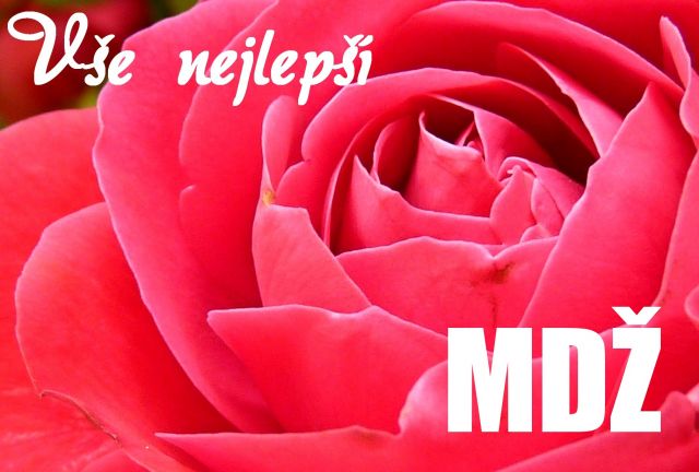 Přání k MDŽ - světle červená růže
světle červená růže - přání a blahopřání k MDŽ obrázek květin ke stažení zdarma, k vytištění nebo jako elektronická pohlednice. Na šířku. Rozměry 17 x 11,5 cm pro obálku B6.
Keywords: přání k MDŽ,Mezinárodní den žen