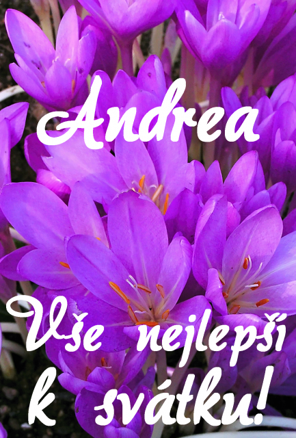 Přání k svátku Andrea
Přání k svátku Andrea - blahopřání podle jmen obrázek květin ke stažení zdarma, k vytištění nebo jako elektronická pohlednice. Rozměry 17 x 11,5 cm pro obálku B6.
Keywords: Přání k svátku Andrea