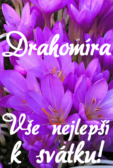 Přání k svátku Drahomíra
Přání k svátku Drahomíra - blahopřání podle jmen obrázek květin ke stažení zdarma, k vytištění nebo jako elektronická pohlednice. Rozměry 17 x 11,5 cm pro obálku B6.
Keywords: Přání k svátku Drahomíra