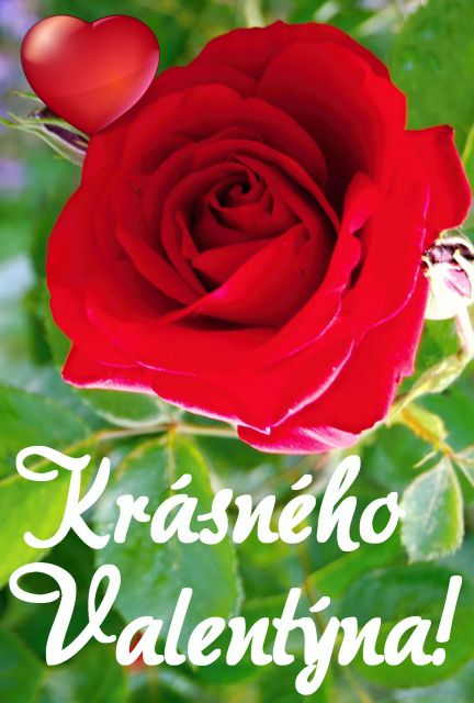 Přání k Valentýnu květ rudé růže se srdíčkem
Přání k Valentýnu květ rudé růže se srdíčkem ke stažení zdarma k vytištění nebo poslat jako elektronickou pohlednici na výšku, rozměry 17 x 11,5 cm pro obálku B6.
Keywords: Přání k Valentýnu