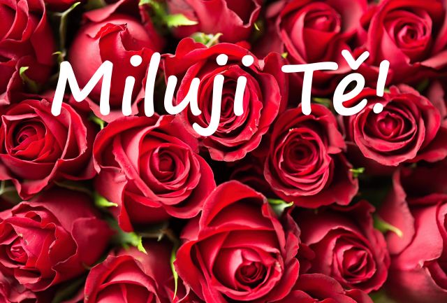 Přání k Valentýnu rudé růže
Přání k Valentýnu rudé růže ke stažení zdarma k vytištění nebo poslat jako elektronickou pohlednici na výšku, rozměry 17 x 11,5 cm pro obálku B6.
Keywords: Přání k Valentýnu
