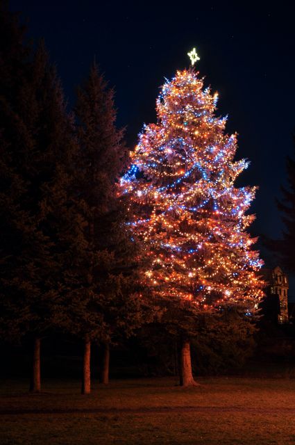 Vánoční obrázky - vánoční strom rozsvícený
Vánoční obrázky - vánoční strom rozsvícený
Keywords: Vánoční obrázky - vánoční strom rozsvícený