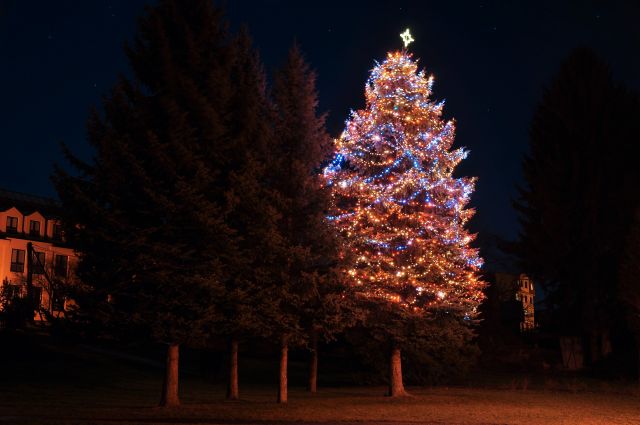 Vánoční obrázky - vánoční strom rozsvícený
Vánoční obrázky - vánoční strom rozsvícený
Keywords: Vánoční obrázky - vánoční strom rozsvícený