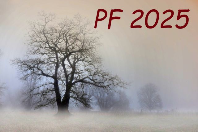 PF 2025
