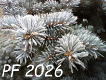 Název souboru=pf-obrazky-ke-stazeni-zdarma-24-na-sirku-02.jpg
Velikost souboru=738KB
Rozměry=1600x1200
Datum přidání=%12. %845 %2025 pf-obrazky-ke-stazeni-zdarma-24-na-sirku-02.jpg