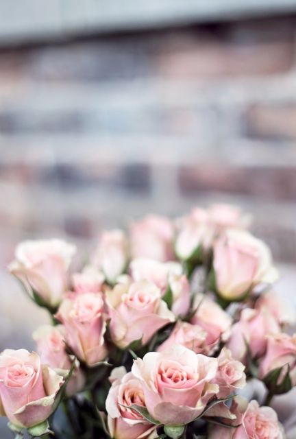 Růžové růže kytice
Přání bez textu zdarma, k vytištění nebo jako poslat jako elektronickou pohlednici. Rozměry 17 x 11,5 cm pro obálku B6.
Keywords: obrázky květin přání