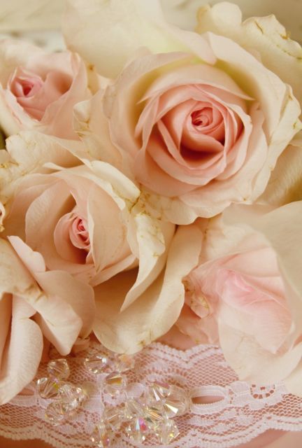 Starorůžové růže
Přání bez textu zdarma, k vytištění nebo jako poslat jako elektronickou pohlednici. Rozměry 17 x 11,5 cm pro obálku B6.
Keywords: obrázky květin přání