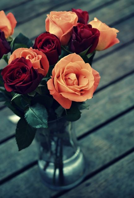 Růže ve váze
Přání bez textu zdarma, k vytištění nebo jako poslat jako elektronickou pohlednici. Rozměry 17 x 11,5 cm pro obálku B6.
Keywords: obrázky květin přání