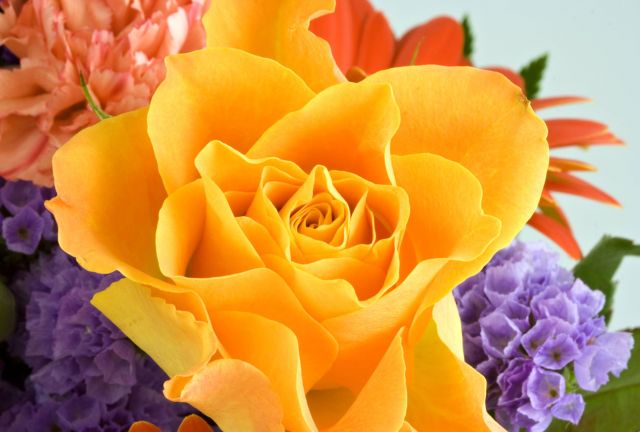 Kytice květy
Přání bez textu zdarma, k vytištění nebo jako poslat jako elektronickou pohlednici. Rozměry 17 x 11,5 cm pro obálku B6.
Keywords: obrázky květin přání