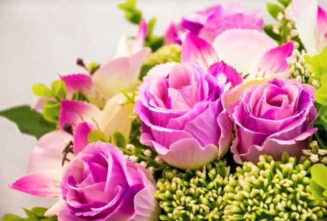 Růžové růže
Přání bez textu zdarma, k vytištění nebo jako poslat jako elektronickou pohlednici. Rozměry 17 x 11,5 cm pro obálku B6.
Keywords: obrázky květin přání
