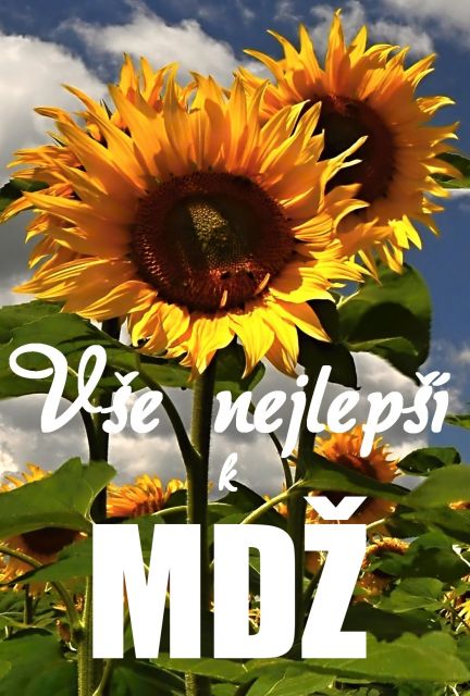 Přání k MDŽ - slunečnice
Slunečnice - přání a blahopřání k MDŽ obrázek květin ke stažení zdarma, k vytištění nebo jako elektronická pohlednice. Rozměry 17 x 11,5 cm pro obálku B6.
Keywords: přání k MDŽ,blahopřání k MDŽ