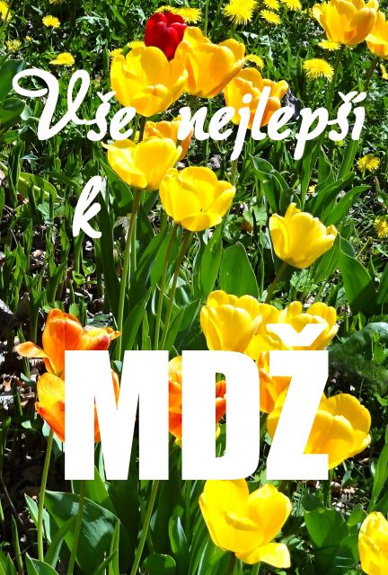 Přání k MDŽ - tulipány
Tulipány - přání a blahopřání k MDŽ obrázek květin ke stažení zdarma, k vytištění nebo jako elektronická pohlednice. Rozměry 17 x 11,5 cm pro obálku B6.
Keywords: přání k MDŽ,blahopřání k MDŽ