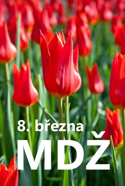 Přání k MDŽ: Vyberte si z nejkrásnějších přání zdarma pro vaše dámy
Přání k MDŽ: Potěšte všechny ženy jedinečným přáním. Vyberte si z naší kolekce zdarma a vykouzlete úsměv na jejich tváři.
Klíčová slova: mdž,přání k mdž,přání k mdž obrázky,přání k mdž text,obrazky k svatku mdž,obrázkové přání k mdž,báseň k mdž,přání k mdž vtipné,mdž přání,obrázky k mdž