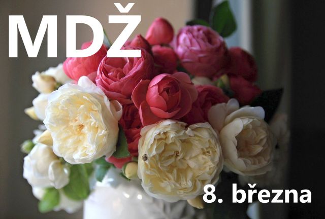 Přání k MDŽ: Vyberte si z tisíců přání a udělejte radost!
Přání k MDŽ: Připojte se k oslavě žen. Vyberte si z našich krásných přání zdarma a ukažte, jak moc vám na ženách záleží.
Klíčová slova: mdž,přání k mdž,přání k mdž obrázky,přání k mdž text,obrazky k svatku mdž,obrázkové přání k mdž,báseň k mdž,přání k mdž vtipné,mdž přání,obrázky k mdž