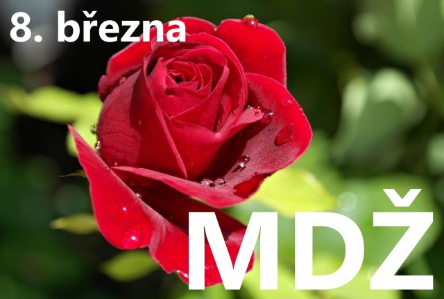 Přání k MDŽ: Darujte radost všem ženám ve vašem okolí
Přání k MDŽ: Potěšte všechny ženy jedinečným přáním. Vyberte si z naší kolekce zdarma a vykouzlete úsměv na jejich tváři.
Klíčová slova: mdž,přání k mdž,přání k mdž obrázky,přání k mdž text,obrazky k svatku mdž,obrázkové přání k mdž,báseň k mdž,přání k mdž vtipné,mdž přání,obrázky k mdž