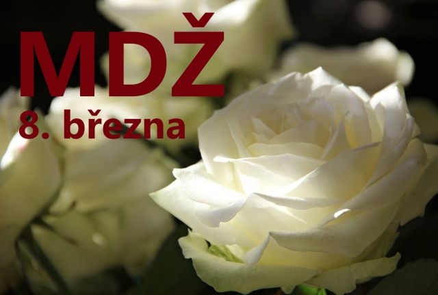 Přání k MDŽ: Darujte radost všem ženám ve vašem okolí
Přání k MDŽ: Potěšte všechny ženy jedinečným přáním. Vyberte si z naší kolekce zdarma a vykouzlete úsměv na jejich tváři.
Klíčová slova: mdž,přání k mdž,přání k mdž obrázky,přání k mdž text,obrazky k svatku mdž,obrázkové přání k mdž,báseň k mdž,přání k mdž vtipné,mdž přání,obrázky k mdž