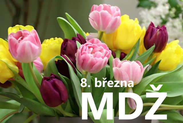 Přání k MDŽ: Darujte radost všem ženám ve vašem okolí
Přání k MDŽ: Potěšte všechny ženy jedinečným přáním. Vyberte si z naší kolekce zdarma a vykouzlete úsměv na jejich tváři.
Klíčová slova: mdž,přání k mdž,přání k mdž obrázky,přání k mdž text,obrazky k svatku mdž,obrázkové přání k mdž,báseň k mdž,přání k mdž vtipné,mdž přání,obrázky k mdž