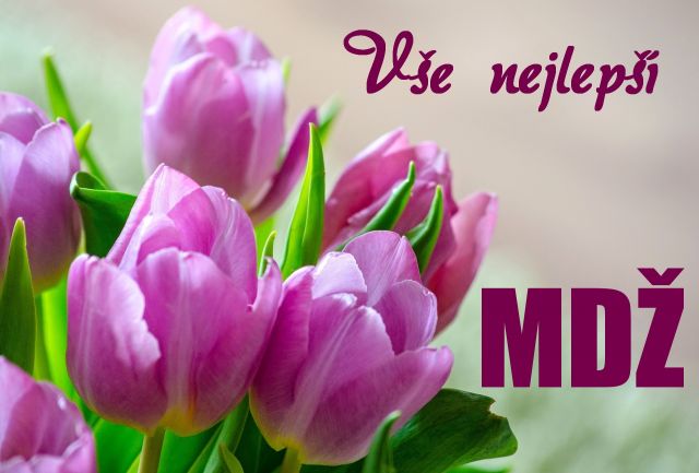 Přání k MDŽ - růžové tulipány
růžové tulipány - přání a blahopřání k MDŽ obrázek květin ke stažení zdarma, k vytištění nebo jako elektronická pohlednice. Na šířku. Rozměry 17 x 11,5 cm pro obálku B6.
Keywords: přání k MDŽ,Mezinárodní den žen