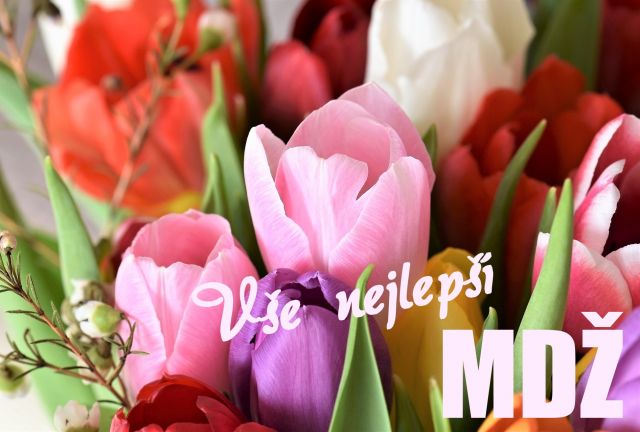 Přání k MDŽ - pestré tulipány
pestré tulipány - přání a blahopřání k MDŽ obrázek květin ke stažení zdarma, k vytištění nebo jako elektronická pohlednice. Na šířku. Rozměry 17 x 11,5 cm pro obálku B6.
Keywords: přání k MDŽ,Mezinárodní den žen