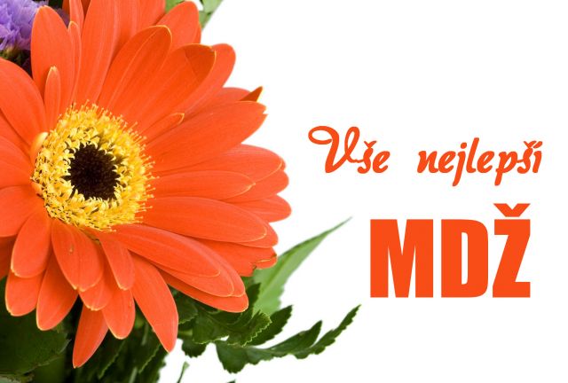 Přání k MDŽ - oranžová gerbera
oranžová gerbera - přání a blahopřání k MDŽ obrázek květin ke stažení zdarma, k vytištění nebo jako elektronická pohlednice. Na šířku. Rozměry 17 x 11,5 cm pro obálku B6.
Keywords: přání k MDŽ,Mezinárodní den žen