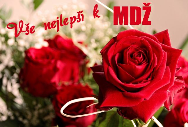 Přání k MDŽ - dvě růže
dvě růže - přání a blahopřání k MDŽ obrázek květin ke stažení zdarma, k vytištění nebo jako elektronická pohlednice. Na šířku. Rozměry 17 x 11,5 cm pro obálku B6.
Keywords: přání k MDŽ,Mezinárodní den žen