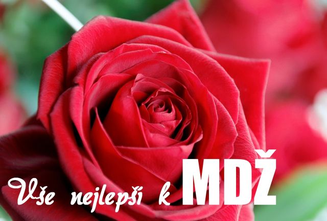 Přání k MDŽ - červená růže
červená růže - přání a blahopřání k MDŽ obrázek květin ke stažení zdarma, k vytištění nebo jako elektronická pohlednice. Na šířku. Rozměry 17 x 11,5 cm pro obálku B6.
Keywords: přání k MDŽ,Mezinárodní den žen