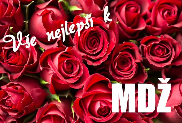 Přání k MDŽ - růže s rudými květy pozadí
růže s rudými květy pozadí - přání a blahopřání k MDŽ obrázek květin ke stažení zdarma, k vytištění nebo jako elektronická pohlednice. Na šířku. Rozměry 17 x 11,5 cm pro obálku B6.
Keywords: přání k MDŽ,Mezinárodní den žen