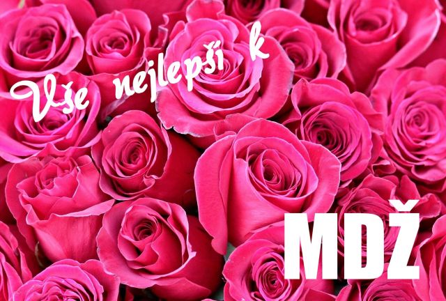 Přání k MDŽ - růžové růže pozadí
růžové růže pozadí - přání a blahopřání k MDŽ obrázek květin ke stažení zdarma, k vytištění nebo jako elektronická pohlednice. Na šířku. Rozměry 17 x 11,5 cm pro obálku B6.
Keywords: přání k MDŽ,Mezinárodní den žen