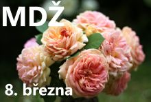 Název souboru=prani-k-mdz-obrazky-text-basen-vtipne-14.jpg
Velikost souboru=281KB
Rozměry=1892x1280
Datum přidání=%18. %862 %2025 prani-k-mdz-obrazky-text-basen-vtipne-14.jpg