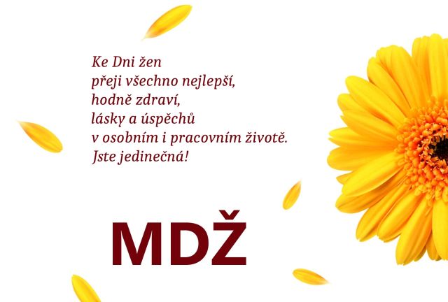 Přání k MDŽ: Stáhněte si zdarma přání, která pohladí po duši
Přání k MDŽ: Vyjádřete úctu všem ženám. Stáhněte si zdarma naše krásná přání a udělejte radost každé ženě.
Klíčová slova: mdž,přání k mdž,přání k mdž obrázky,přání k mdž text,obrazky k svatku mdž,obrázkové přání k mdž,báseň k mdž,přání k mdž vtipné,mdž přání,obrázky k mdž