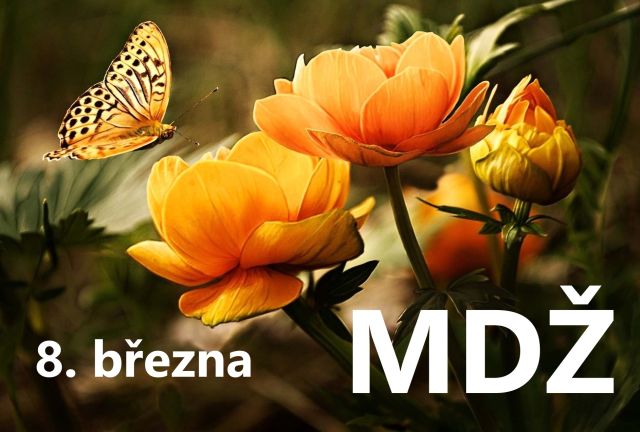Přání k MDŽ: Stáhněte si zdarma přání, která pohladí po duši
Přání k MDŽ: Vyjádřete úctu všem ženám. Stáhněte si zdarma naše krásná přání a udělejte radost každé ženě.
Klíčová slova: mdž,přání k mdž,přání k mdž obrázky,přání k mdž text,obrazky k svatku mdž,obrázkové přání k mdž,báseň k mdž,přání k mdž vtipné,mdž přání,obrázky k mdž