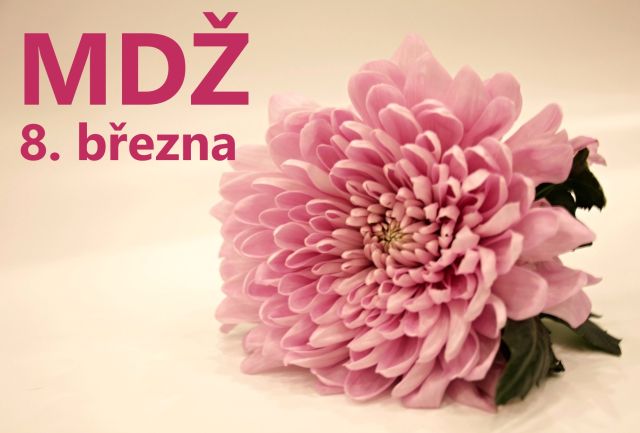 Přání k MDŽ: Stáhněte si zdarma přání, která pohladí po duši
Přání k MDŽ: Vyjádřete úctu všem ženám. Stáhněte si zdarma naše krásná přání a udělejte radost každé ženě.
Klíčová slova: mdž,přání k mdž,přání k mdž obrázky,přání k mdž text,obrazky k svatku mdž,obrázkové přání k mdž,báseň k mdž,přání k mdž vtipné,mdž přání,obrázky k mdž