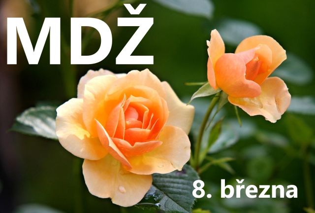 Přání k MDŽ: Potěšte své ženy krásnými obrázky plnými lásky!
Přání k MDŽ: Pošlete krásné obrázky a texty, které potěší každou ženu. Objevte tisíce možností a udělejte radost!
Klíčová slova: mdž,přání k mdž,přání k mdž obrázky,přání k mdž text,obrazky k svatku mdž,obrázkové přání k mdž,báseň k mdž,přání k mdž vtipné,mdž přání,obrázky k mdž