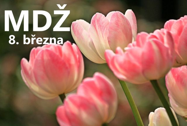 Přání k MDŽ: Potěšte své ženy krásnými obrázky plnými lásky!
Přání k MDŽ: Pošlete krásné obrázky a texty, které potěší každou ženu. Objevte tisíce možností a udělejte radost!
Klíčová slova: mdž,přání k mdž,přání k mdž obrázky,přání k mdž text,obrazky k svatku mdž,obrázkové přání k mdž,báseň k mdž,přání k mdž vtipné,mdž přání,obrázky k mdž