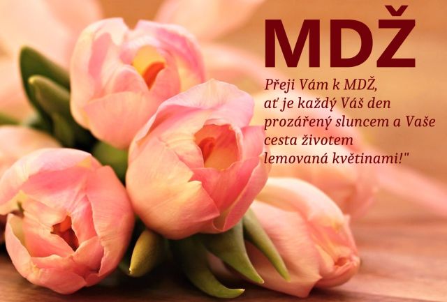 Přání k MDŽ: Potěšte své ženy krásnými obrázky plnými lásky!
Přání k MDŽ: Pošlete krásné obrázky a texty, které potěší každou ženu. Objevte tisíce možností a udělejte radost!
Klíčová slova: mdž,přání k mdž,přání k mdž obrázky,přání k mdž text,obrazky k svatku mdž,obrázkové přání k mdž,báseň k mdž,přání k mdž vtipné,mdž přání,obrázky k mdž