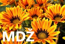 Název souboru=prani-k-mdz-obrazky-text-basen-vtipne-13.jpg
Velikost souboru=335KB
Rozměry=1597x1080
Datum přidání=%18. %875 %2025 prani-k-mdz-obrazky-text-basen-vtipne-13.jpg