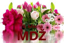 Název souboru=prani-k-mdz-obrazky-text-basen-vtipne-76.jpg
Velikost souboru=291KB
Rozměry=1500x1015
Datum přidání=%18. %875 %2025 prani-k-mdz-obrazky-text-basen-vtipne-76.jpg