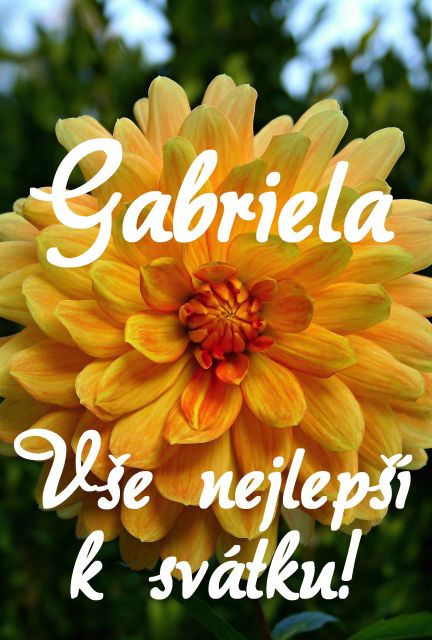 Přání k svátku Gabriela
Přání k svátku Gabriela - blahopřání podle jmen obrázek květin ke stažení zdarma, k vytištění nebo jako elektronická pohlednice. Rozměry 17 x 11,5 cm pro obálku B6.
Keywords: Přání k svátku Gabriela
