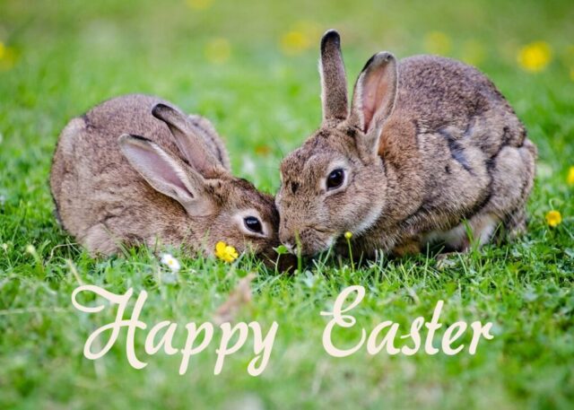easter wishes greetings cards images free 010 1024x731