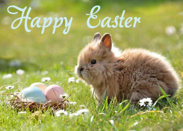easter wishes greetings cards images free 012 1024x731