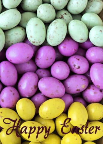 easter wishes greetings cards images free 022 731x1024