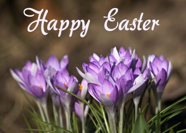 easter wishes greetings cards images free 030 1024x732