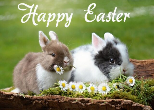 easter wishes greetings cards images free 034 1024x732
